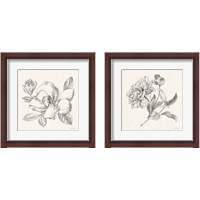 Framed Flower Sketches 2 Piece Framed Art Print Set