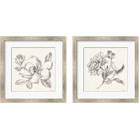 Framed 'Flower Sketches 2 Piece Framed Art Print Set' border=
