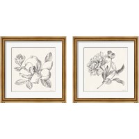 Framed Flower Sketches 2 Piece Framed Art Print Set