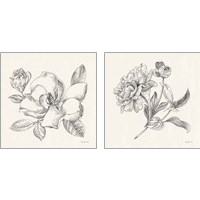 Framed 'Flower Sketches 2 Piece Art Print Set' border=