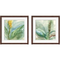 Framed 'Exotic Flower 2 Piece Framed Art Print Set' border=