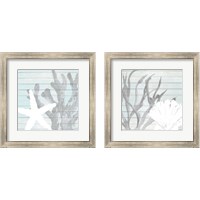 Framed Sea Life on Blue Wood 2 Piece Framed Art Print Set