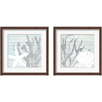 Framed Sea Life on Blue Wood 2 Piece Framed Art Print Set