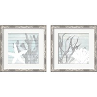 Framed 'Sea Life on Blue Wood 2 Piece Framed Art Print Set' border=