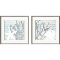 Framed Sea Life on Blue Wood 2 Piece Framed Art Print Set
