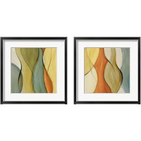 Framed Coalescence  2 Piece Framed Art Print Set