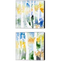 Framed 'Spring Coming On  2 Piece Canvas Print Set' border=