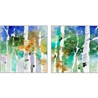 Framed 'Up to the Northern Skies 2 Piece Art Print Set' border=