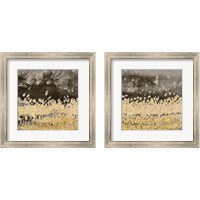 Framed 'Gold Winds Square 2 Piece Framed Art Print Set' border=