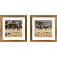 Framed Gold Winds Square 2 Piece Framed Art Print Set