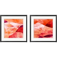 Framed Rose Fantasy 2 Piece Framed Art Print Set