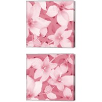 Framed 'Blooming Pink Whispers 2 Piece Canvas Print Set' border=