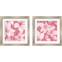 Framed 'Blooming Pink Whispers 2 Piece Framed Art Print Set' border=