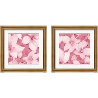 Framed 'Blooming Pink Whispers 2 Piece Framed Art Print Set' border=