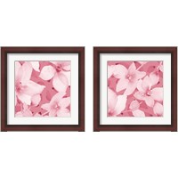 Framed Blooming Pink Whispers 2 Piece Framed Art Print Set