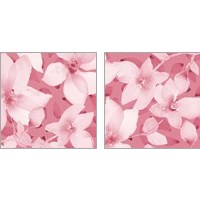 Framed Blooming Pink Whispers 2 Piece Art Print Set