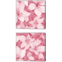 Framed Blooming Pink Whispers 2 Piece Canvas Print Set