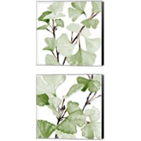 Framed 'Mint Ginko Stems 2 Piece Canvas Print Set' border=