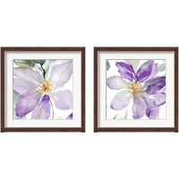 Framed Clematis in Purple Shades 2 Piece Framed Art Print Set