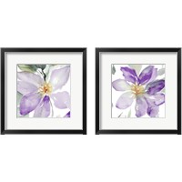 Framed Clematis in Purple Shades 2 Piece Framed Art Print Set