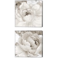 Framed Light Grey Flowers 2 Piece Canvas Print Set