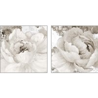 Framed Light Grey Flowers 2 Piece Art Print Set