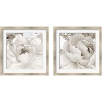 Framed 'Light Grey Flowers 2 Piece Framed Art Print Set' border=
