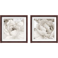 Framed 'Light Grey Flowers 2 Piece Framed Art Print Set' border=