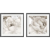 Framed Light Grey Flowers 2 Piece Framed Art Print Set