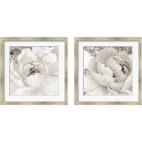 Framed 'Light Grey Flowers 2 Piece Framed Art Print Set' border=