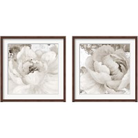 Framed Light Grey Flowers 2 Piece Framed Art Print Set