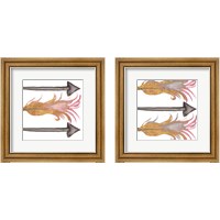 Framed Feathers And Arrows 2 Piece Framed Art Print Set