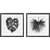 Framed 'Dark Leaf Palm 2 Piece Framed Art Print Set' border=