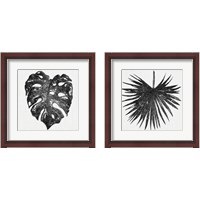 Framed 'Dark Leaf Palm 2 Piece Framed Art Print Set' border=