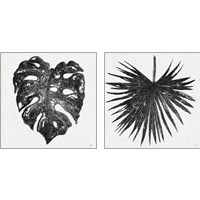 Framed 'Dark Leaf Palm 2 Piece Art Print Set' border=