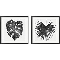 Framed 'Dark Leaf Palm 2 Piece Framed Art Print Set' border=