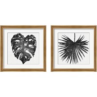 Framed 'Dark Leaf Palm 2 Piece Framed Art Print Set' border=