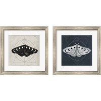 Framed 'Midnight Moth 2 Piece Framed Art Print Set' border=