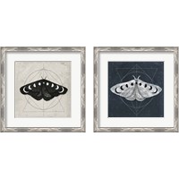 Framed 'Midnight Moth 2 Piece Framed Art Print Set' border=