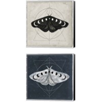 Framed 'Midnight Moth 2 Piece Canvas Print Set' border=