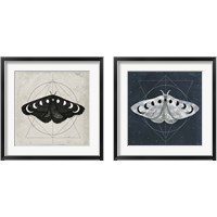 Framed Midnight Moth 2 Piece Framed Art Print Set