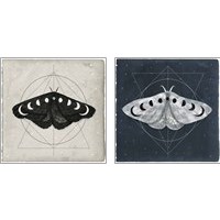 Framed 'Midnight Moth 2 Piece Art Print Set' border=