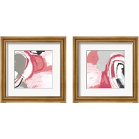 Framed 'Totality of Pink 2 Piece Framed Art Print Set' border=