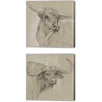 Framed 'Longhorn Sketch 2 Piece Canvas Print Set' border=