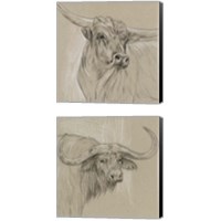 Framed 'Longhorn Sketch 2 Piece Canvas Print Set' border=