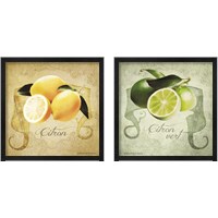 Framed Vintage Lemons & Limes 2 Piece Framed Art Print Set