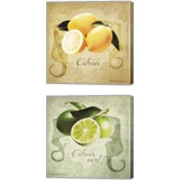 Framed Vintage Lemons & Limes 2 Piece Canvas Print Set