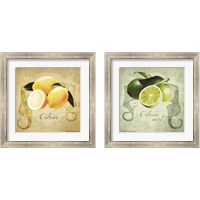 Framed 'Vintage Lemons & Limes 2 Piece Framed Art Print Set' border=