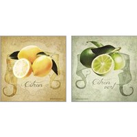Framed 'Vintage Lemons & Limes 2 Piece Art Print Set' border=