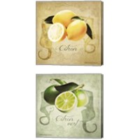 Framed 'Vintage Lemons & Limes 2 Piece Canvas Print Set' border=